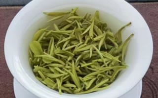 黄金芽茶需要洗茶吗，不需要(黄金芽的正确冲泡方法)