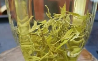 十大不建议买的紫砂壶，灌浆壶化工壶机车壶手拉胚
