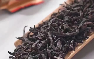 鸭屎香可以经常喝吗